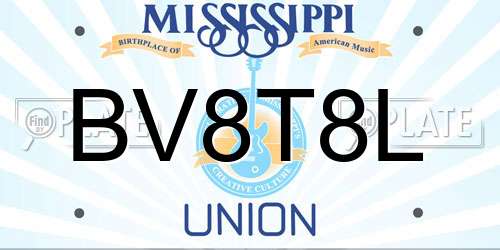 BV8T8L Mississippi License Plate