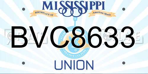 BVC8633 Mississippi License Plate