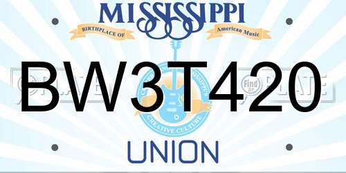 BW3T420 Mississippi License Plate