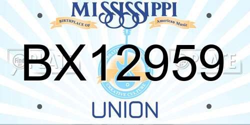 BX12959 Mississippi License Plate