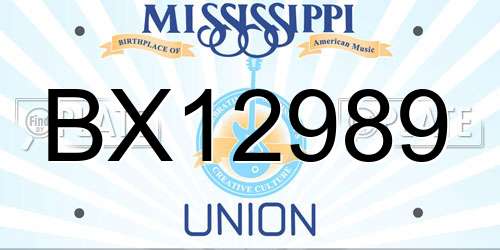 BX12989 Mississippi License Plate