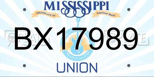 BX17989 Mississippi License Plate