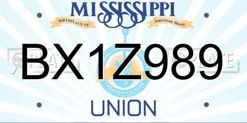 BX1Z989 Mississippi License Plate