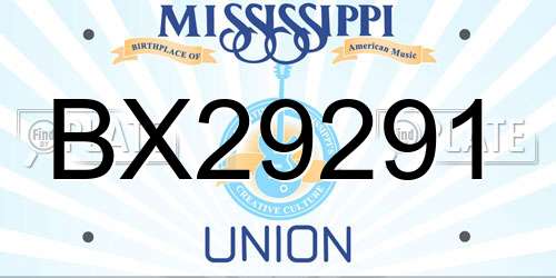 BX29291 Mississippi License Plate