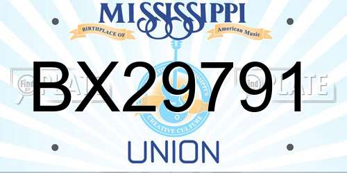 BX29791 Mississippi License Plate