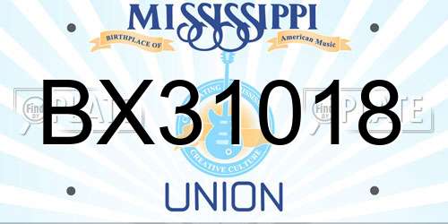 BX31018 Mississippi License Plate