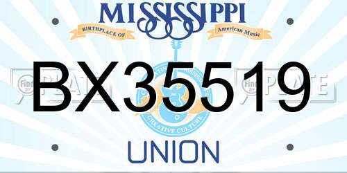 BX35519 Mississippi License Plate