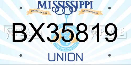 BX35819 Mississippi License Plate