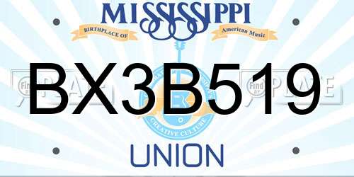 BX3B519 Mississippi License Plate