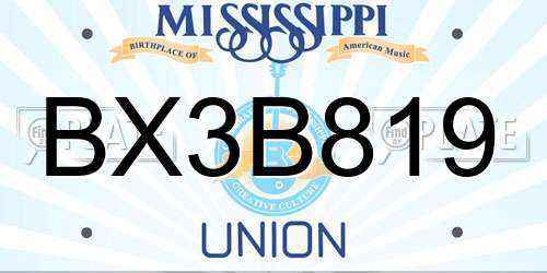 BX3B819 Mississippi License Plate