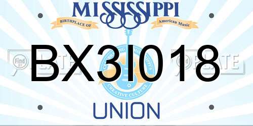 BX3I018 Mississippi License Plate