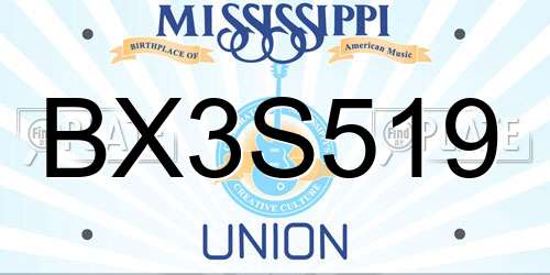 BX3S519 Mississippi License Plate