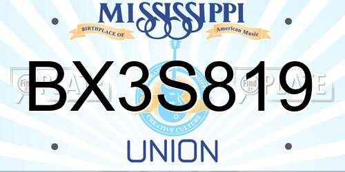 BX3S819 Mississippi License Plate