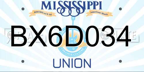 BX6D034 Mississippi License Plate