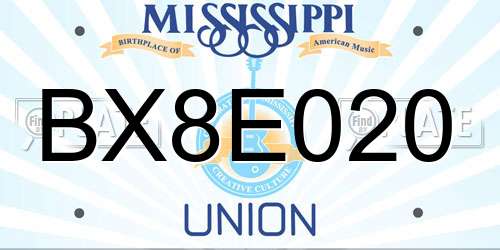 BX8E020 Mississippi License Plate