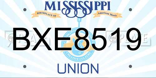 BXE8519 Mississippi License Plate