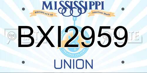 BXI2959 Mississippi License Plate