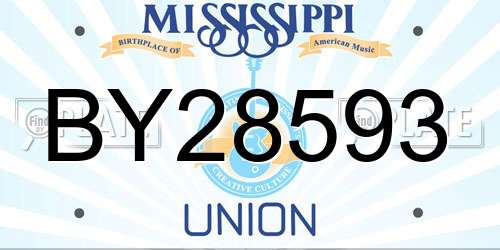 BY28593 Mississippi License Plate