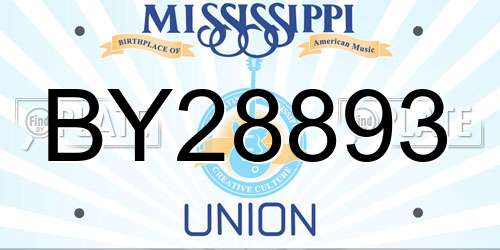 BY28893 Mississippi License Plate