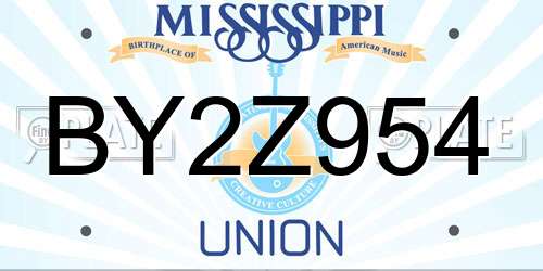 BY2Z954 Mississippi License Plate