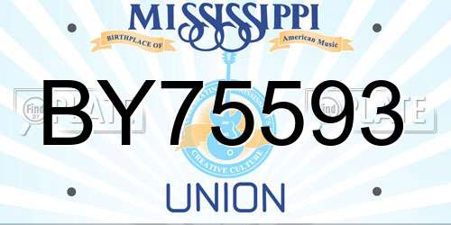 BY75593 Mississippi License Plate