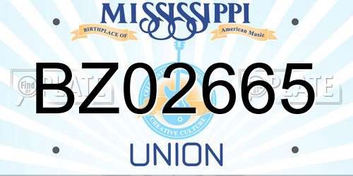 BZ02665 Mississippi License Plate