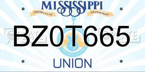 BZ0T665 Mississippi License Plate