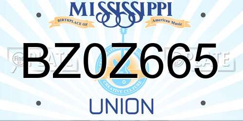 BZ0Z665 Mississippi License Plate