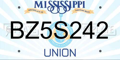 BZ5S242 Mississippi License Plate