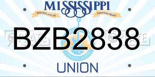 BZB2838 Mississippi License Plate