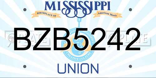 BZB5242 Mississippi License Plate