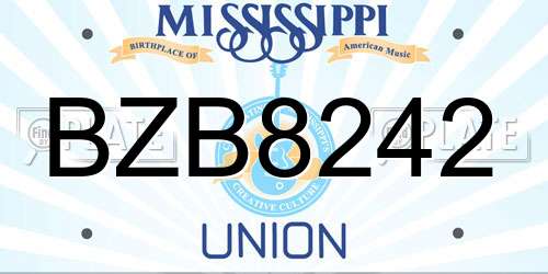 BZB8242 Mississippi License Plate