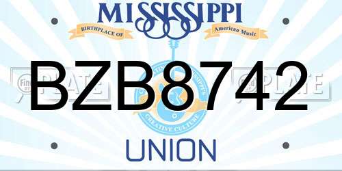 BZB8742 Mississippi License Plate