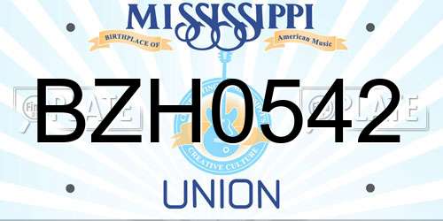 BZH0542 Mississippi License Plate