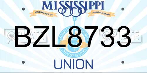 BZL8733 Mississippi License Plate