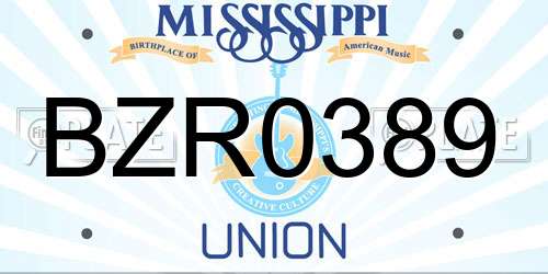 BZR0389 Mississippi License Plate