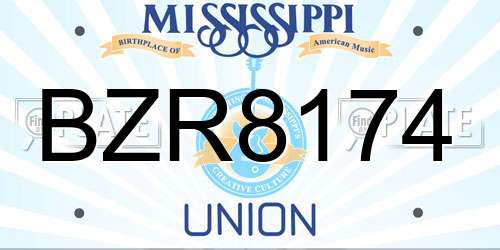 BZR8174 Mississippi License Plate