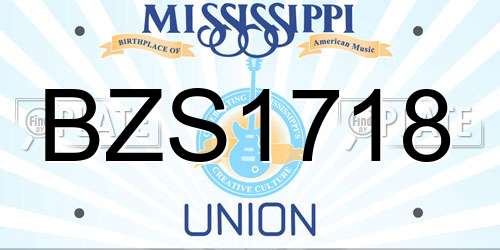 BZS1718 Mississippi License Plate