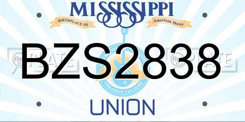 BZS2838 Mississippi License Plate