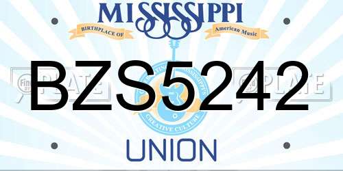 BZS5242 Mississippi License Plate