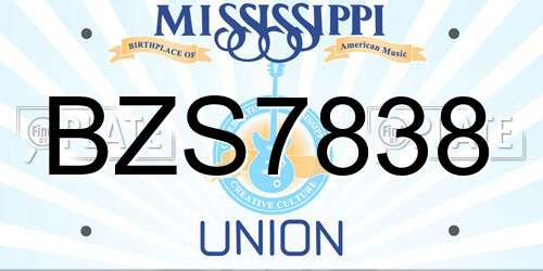 BZS7838 Mississippi License Plate