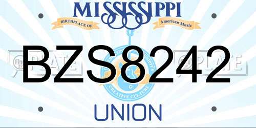 BZS8242 Mississippi License Plate