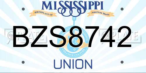 BZS8742 Mississippi License Plate