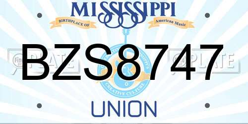 BZS8747 Mississippi License Plate