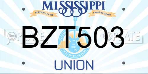 BZT503 Mississippi License Plate