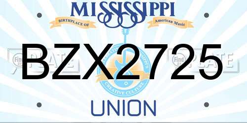 BZX2725 Mississippi License Plate