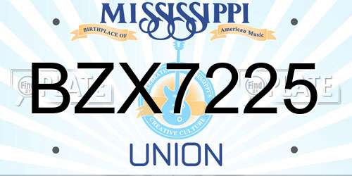 BZX7225 Mississippi License Plate
