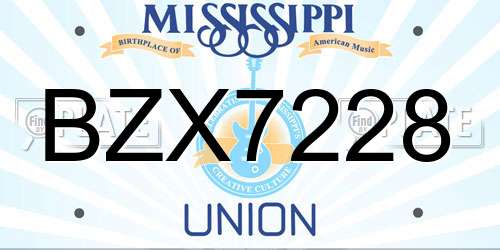 BZX7228 Mississippi License Plate