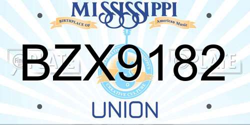BZX9182 Mississippi License Plate