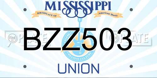BZZ503 Mississippi License Plate